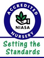woodlea nursery niasa accreditation